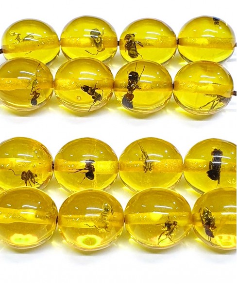 Κομπολόι από Τεχνητή Ρητίνη με Εγκλωβισμένα Έντομα KOM12084