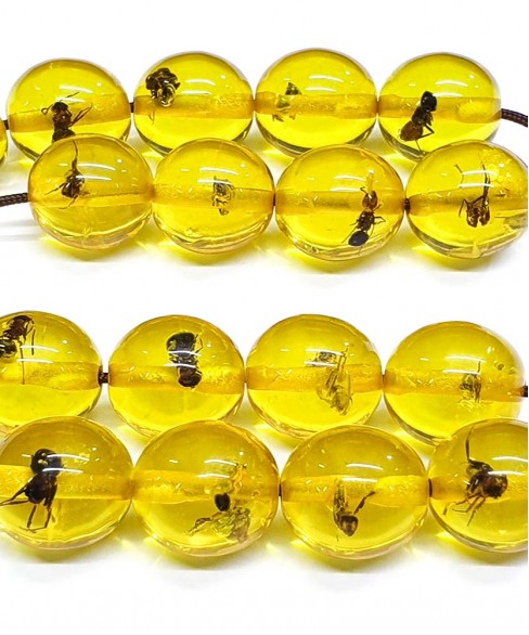 Κομπολόι από Τεχνητή Ρητίνη με Εγκλωβισμένα Έντομα KOM12085