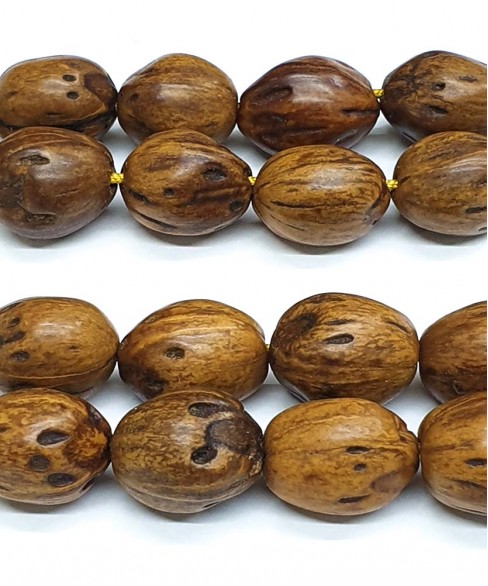 Κομπολόι από Μοσχοκάρυδο KOM11739