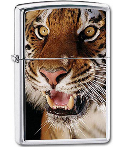 Zippo Tiger