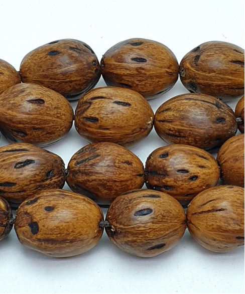 Κομπολόι από Μοσχοκάρυδο KOM10314